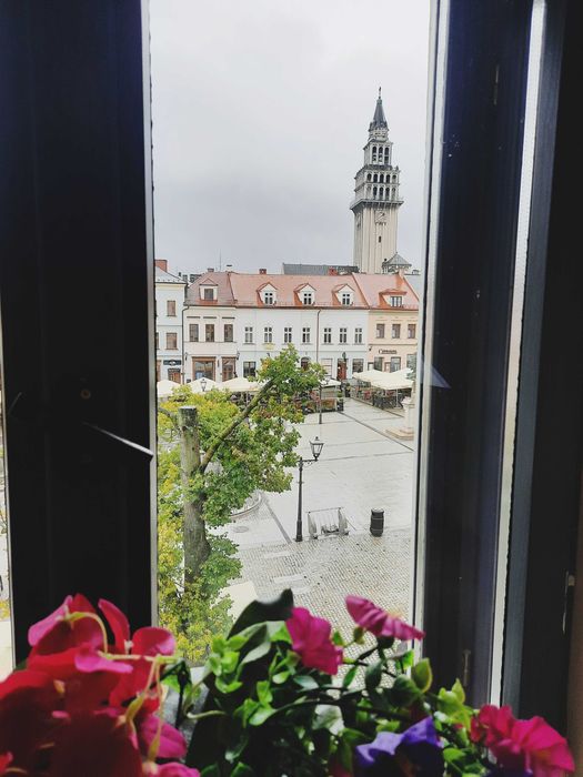 Wynajmę mieszkanie w SAMYM centrum Bielska Białej