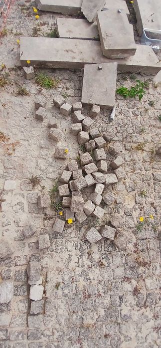 Fazo limpieza de terrenos e jardins e casas recolho tipo de emtulho