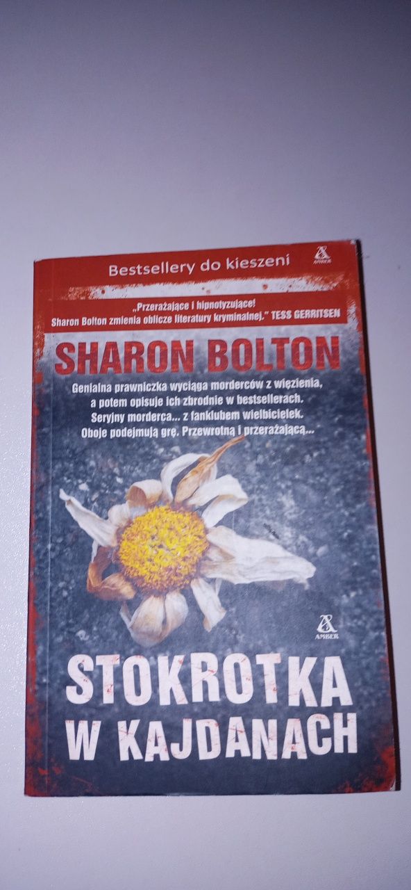 Sharon Bolton Bestseller Stokrotka w kajdankach