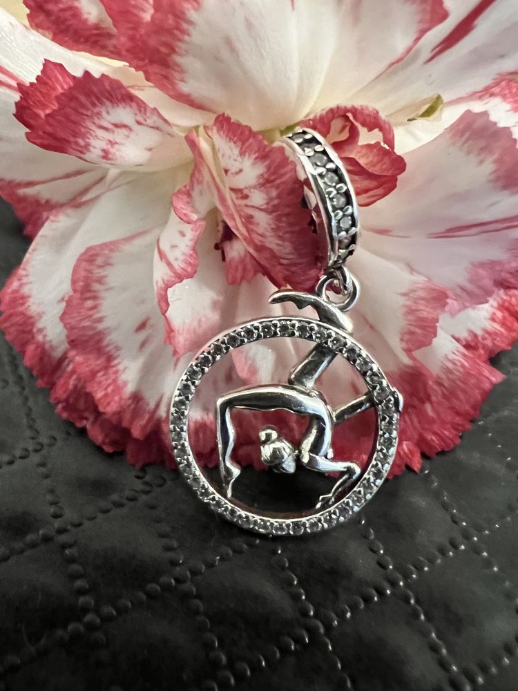 Aerial Hoop Charms