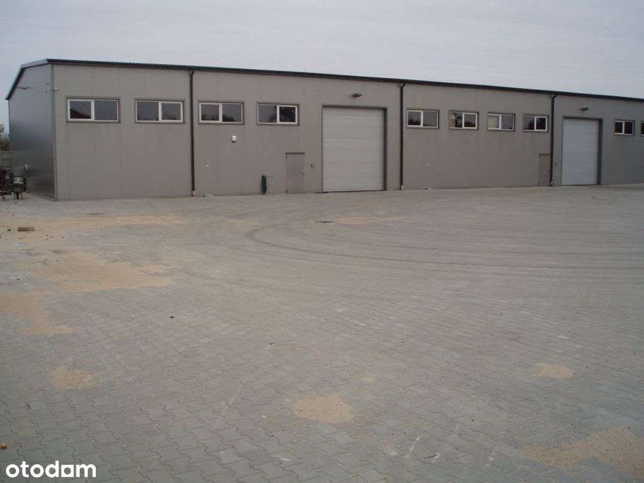 Wynajmę Magazyn z biurem, 550 mkw, Dawidy k/Raszna