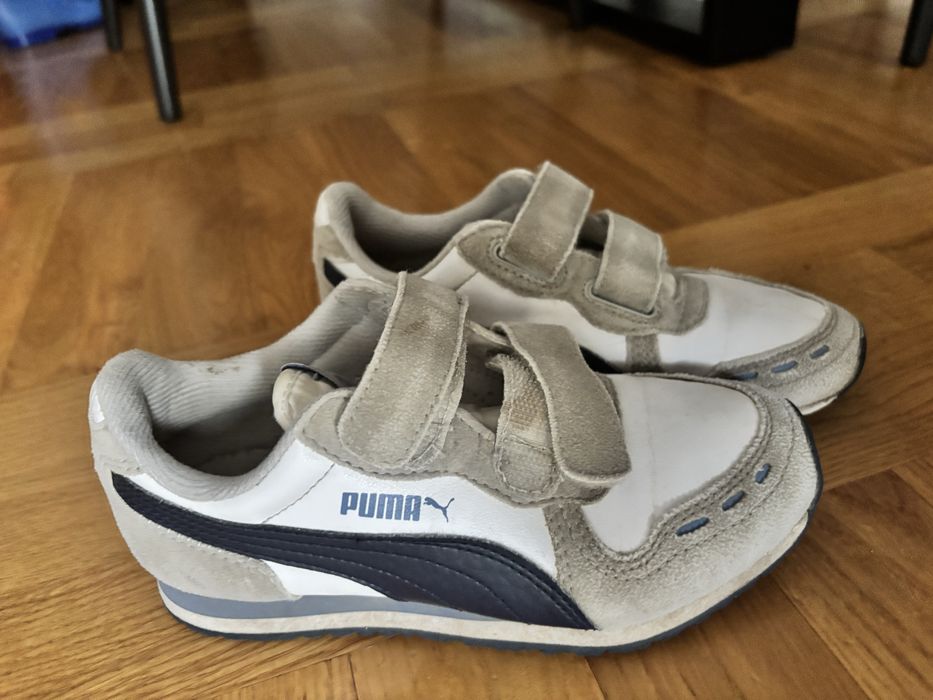 Bury chłopięce puma
