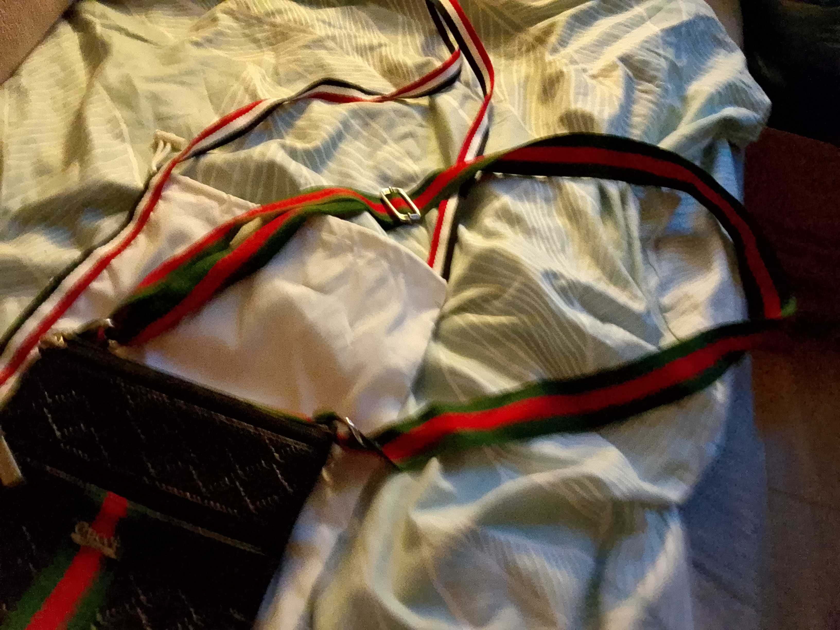 Listonoszka gucci