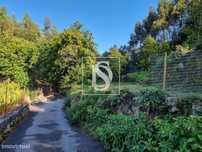 Terreno com 3000m2 Sanguinhedo Vieira do Minho