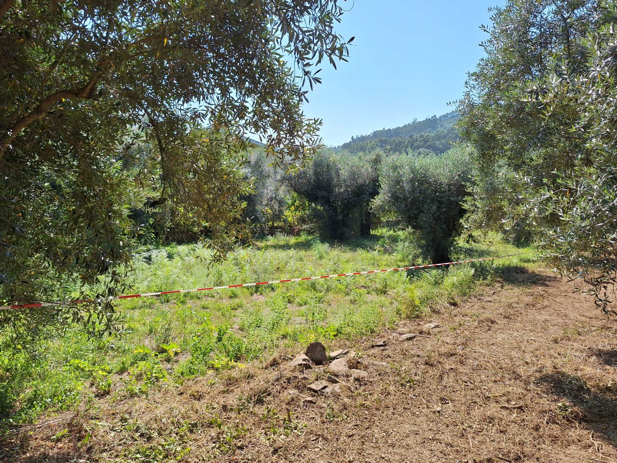 Terreno urbano com 873 m2, Regateira, Góis
