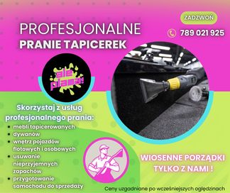 Profesjonalne pranie tapicerek