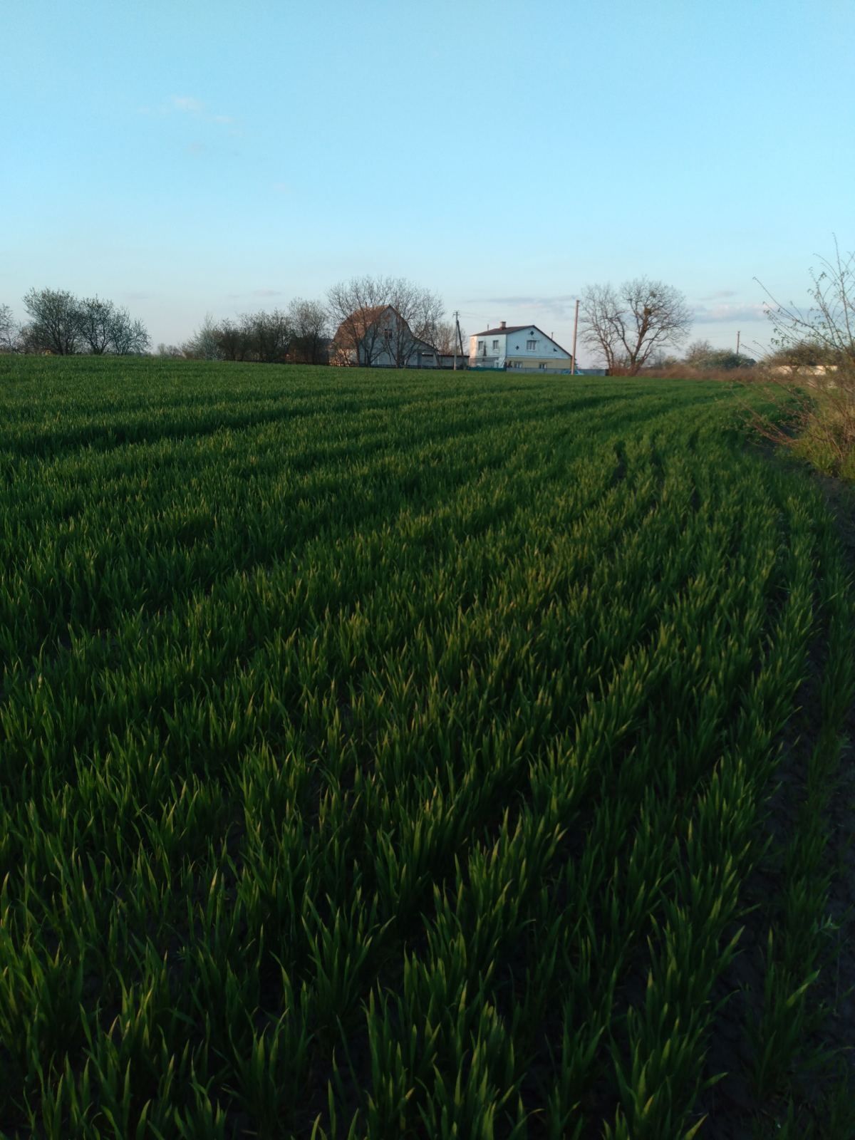 Продам ділянку ОСГ село Бакали.