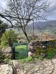 Vendono lindas vista 20000 euros