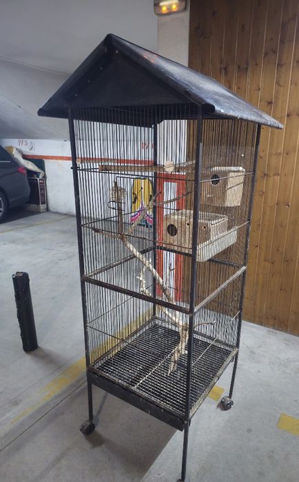 Gaiola passaros grande