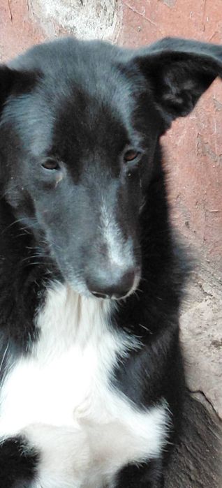 В добрі ручки гарна дівчинка.