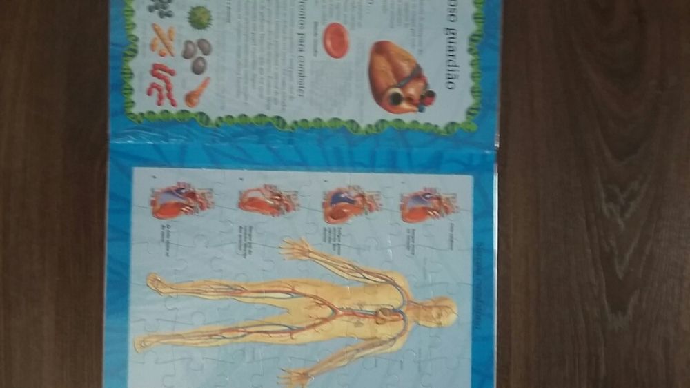 Livro puzzle corpo humano