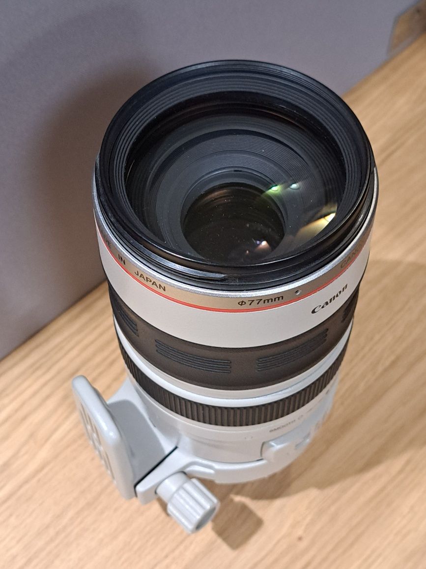 Canon EF 100-400 mm f/4.5-5.6 L IS USM