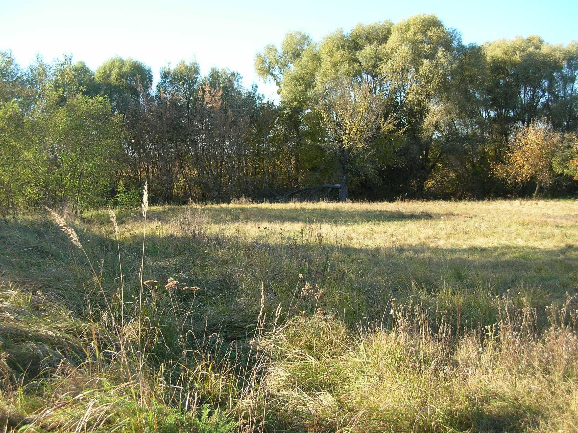 Будинок+земля Лубни р-н, с. Лушники. Берег. Без%