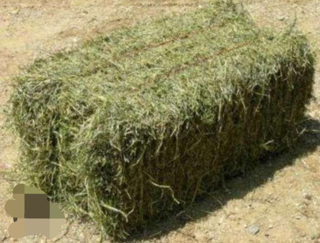 Продам  сіно в тюках.Різнотрав'я