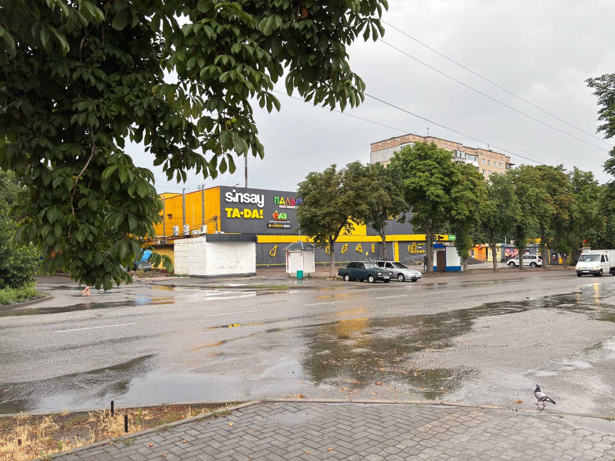 Оренда нежитлового приміщення Олександрія, Соборний, 6_75,1 м2_ВЛАСНИК