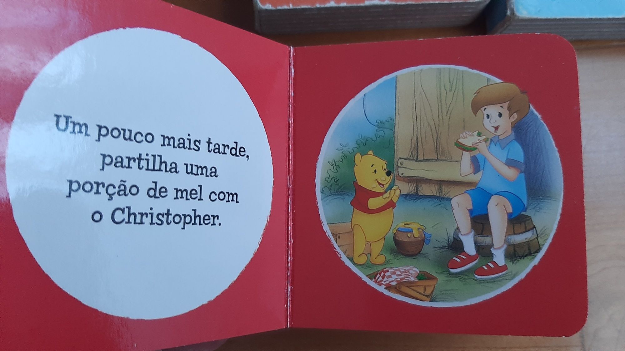 Livros folhas grossas Disney
