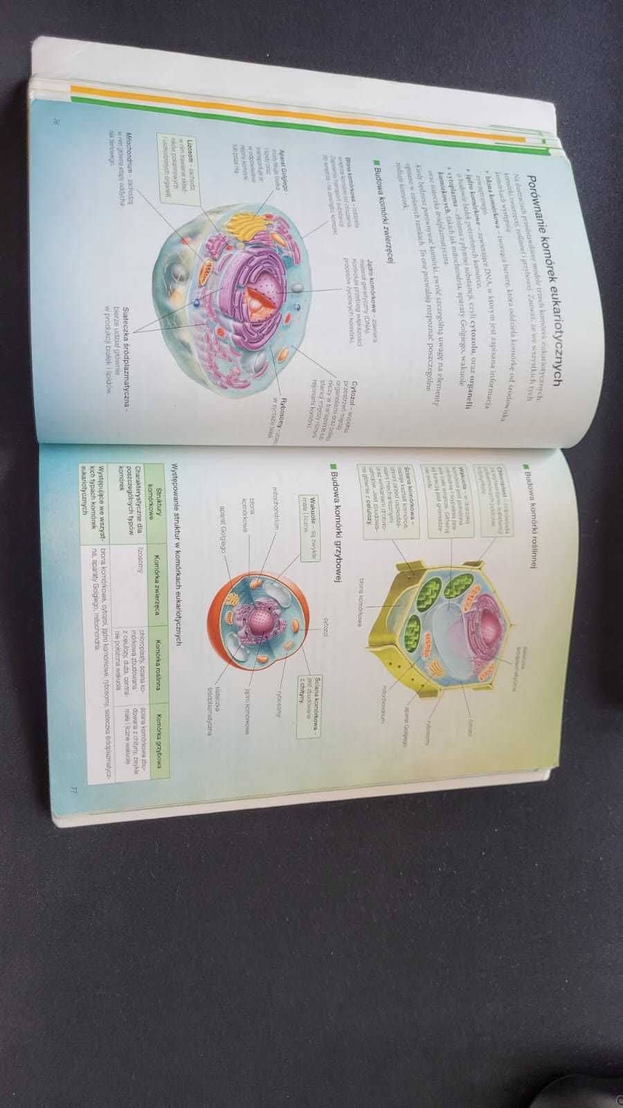 STAN DOBRY Biologia na czasie 1 +gratis