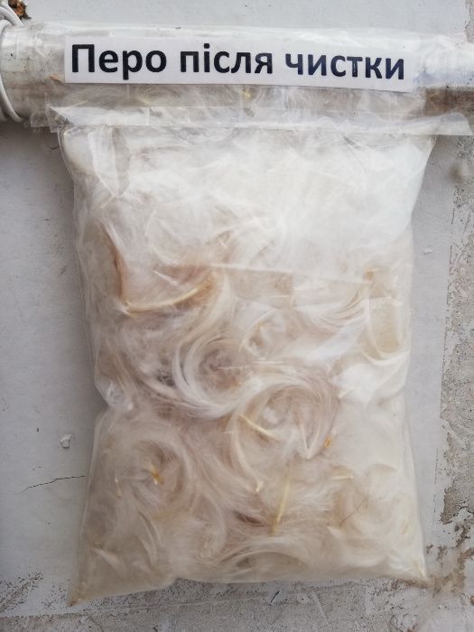 Чистка відновлення реставрація подушок пера Хмельниц область
