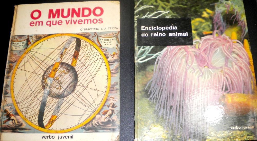 Verbo Juvenil - lote de 10 livros desta colecção