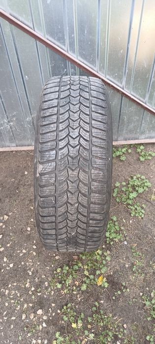 Dębica Frigo 2HP Opony i Felgi