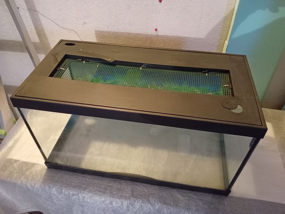 Aquário de vidro para peixes ou répteis