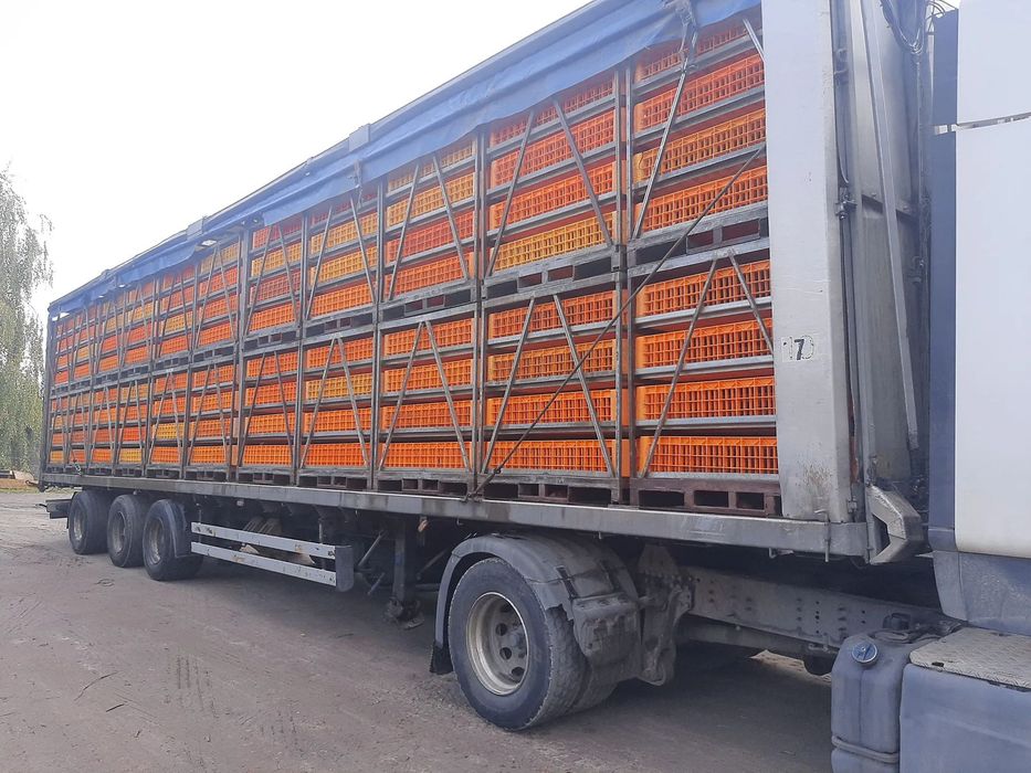 ROHR  Naczepa do transportu drobiu w kontenerach stal nierdzewna oś skrętna