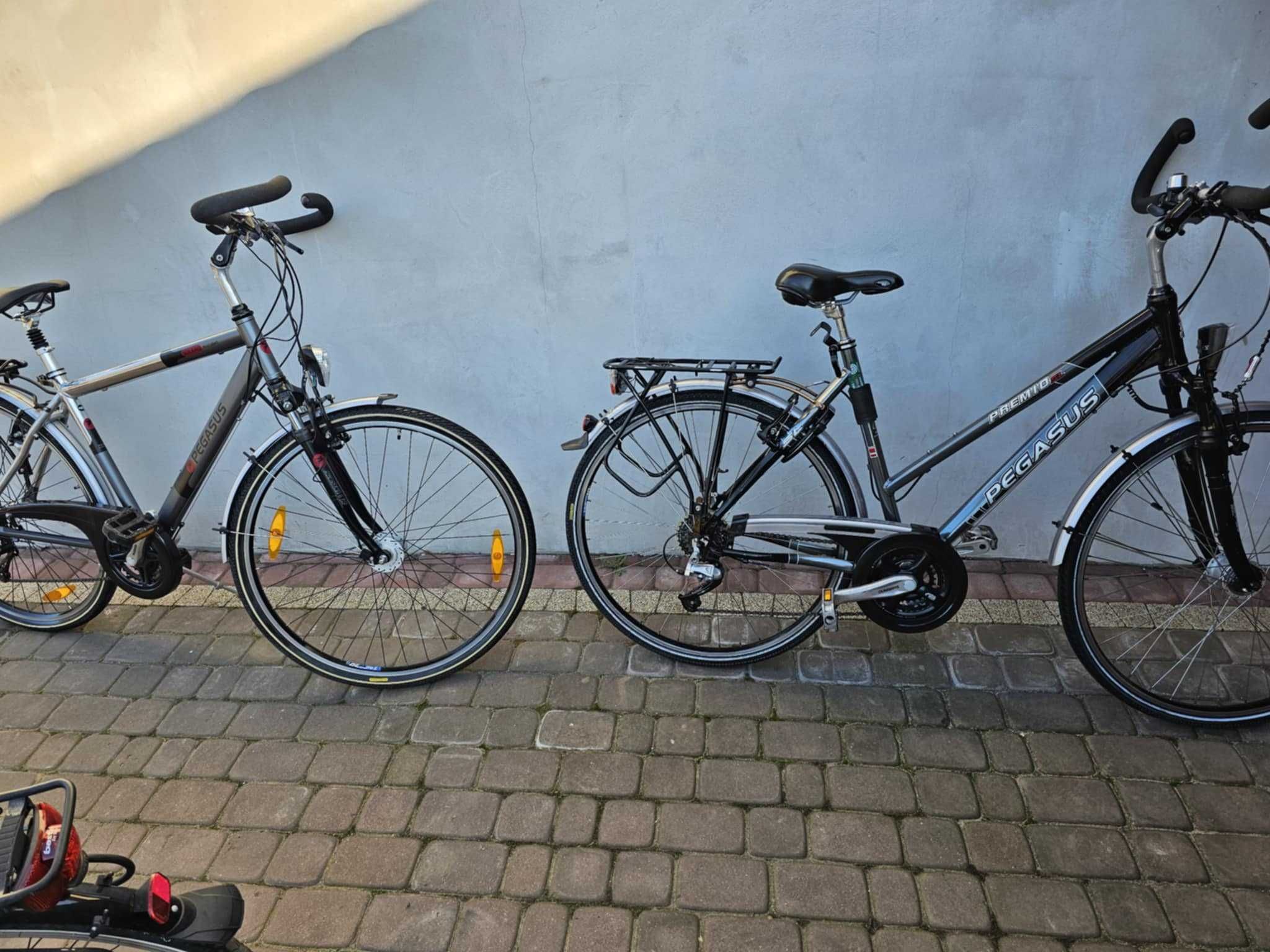 Rower trekkingowy PEGASUS