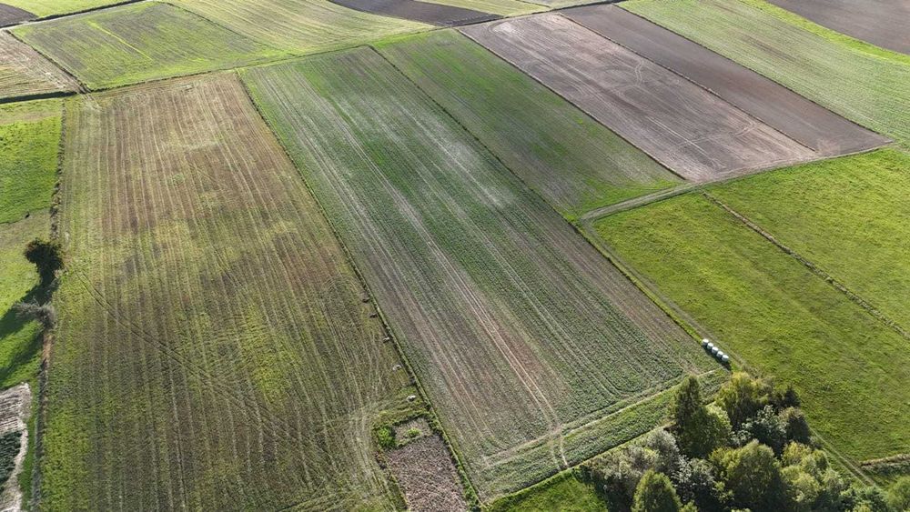 Działka 1,8 ha Gmina Skała obręb Minoga nr 262