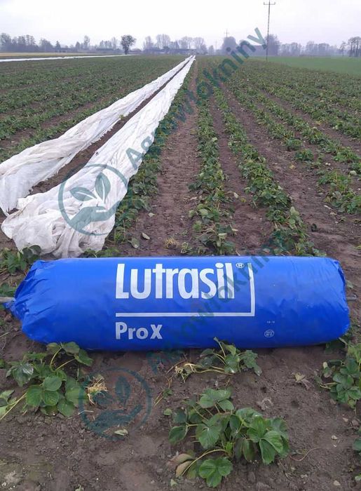 Lutrasil P30 Włóknina Agrowłóknina Niemiecka