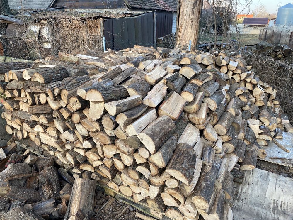 Drewno kominkowe Dąb, transport w cenie.