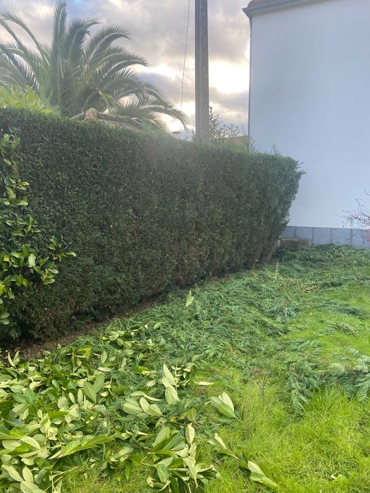 Serviços de Limpeza, Detalhamento Automóvel e Manutenção de Jardins