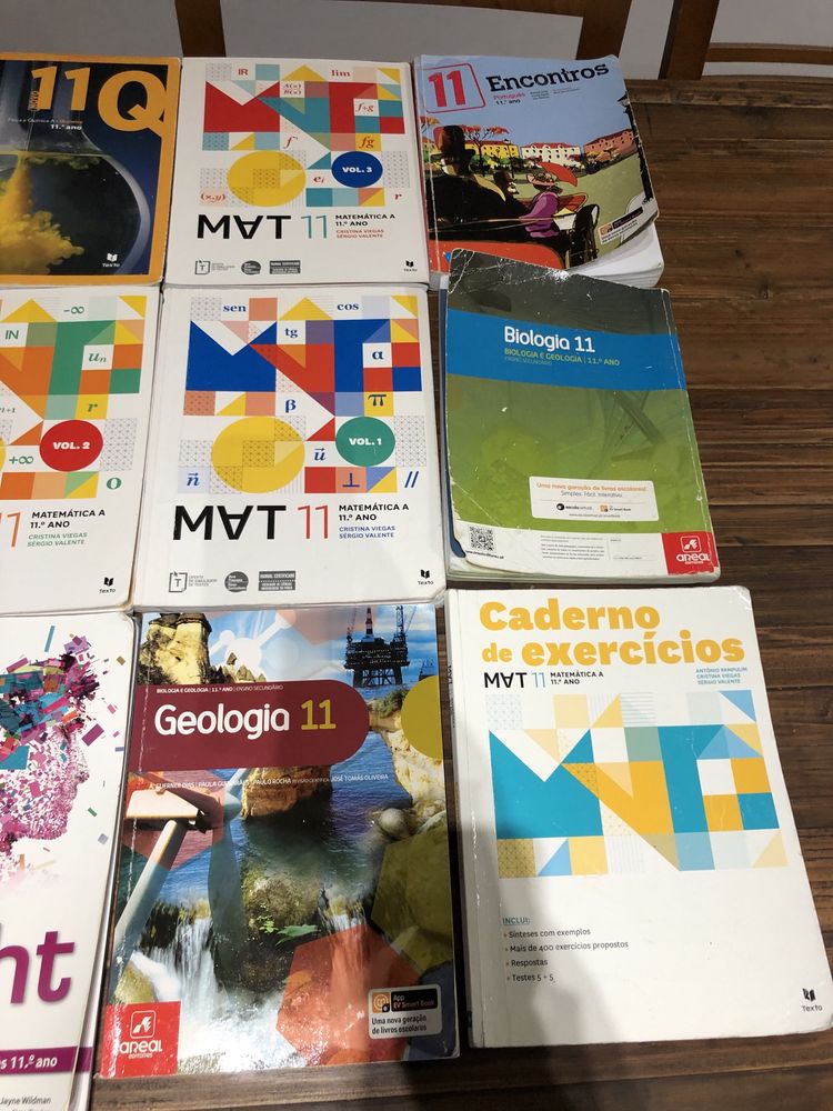 Livros escolares 11 ano