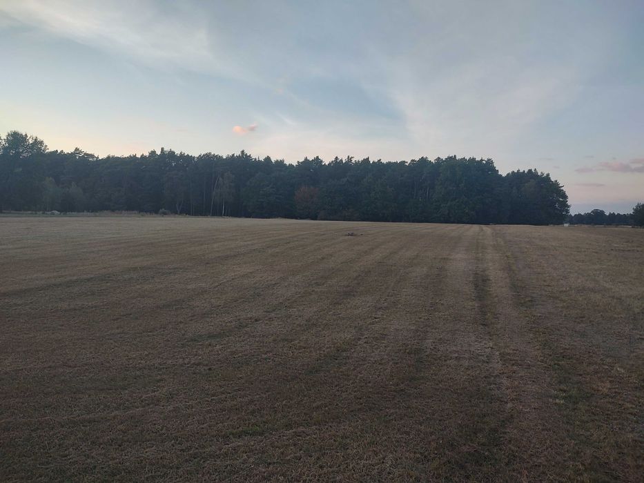 Sprzedam działkę budowlaną Stare Załubice