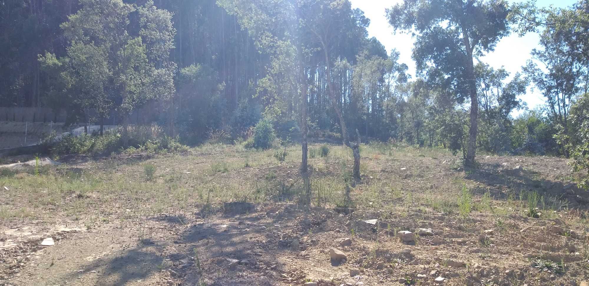 Terreno para construção
