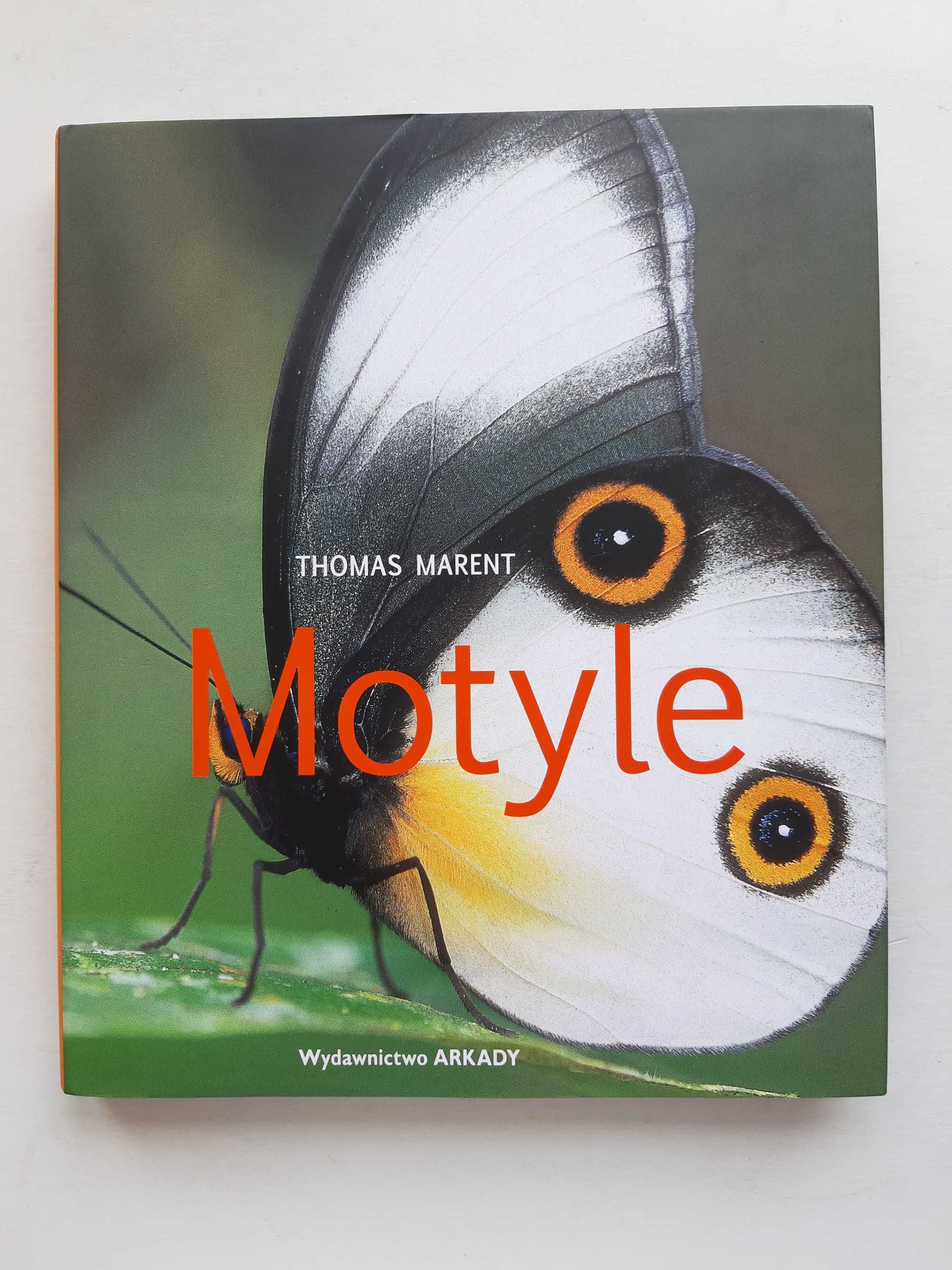 Motyle – Thomas Marent