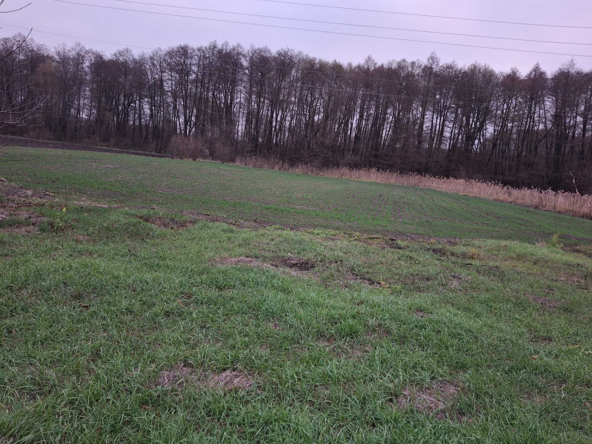 Продаю будинок село Зеленьки Миронівка Обухівський  район
