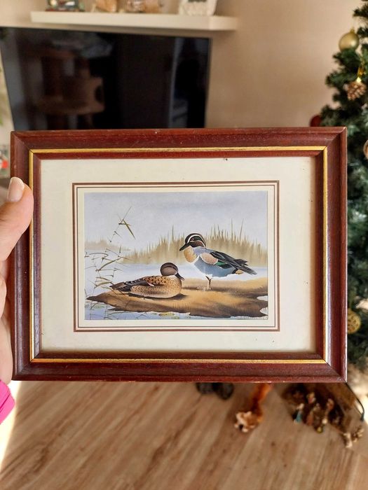 Quadros com patos/caça