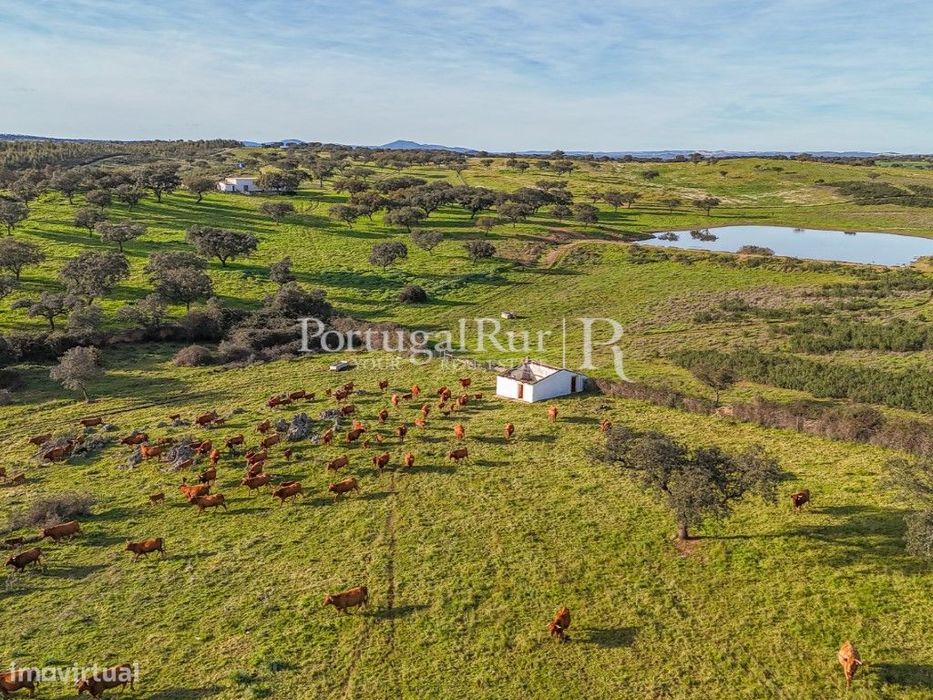 Herdade de 23 hectares com construções rurais