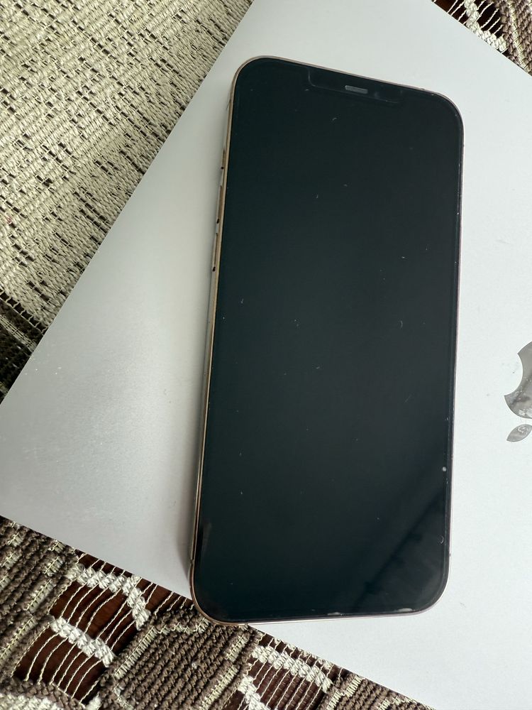 iPhone 12 Pro Max 256GB