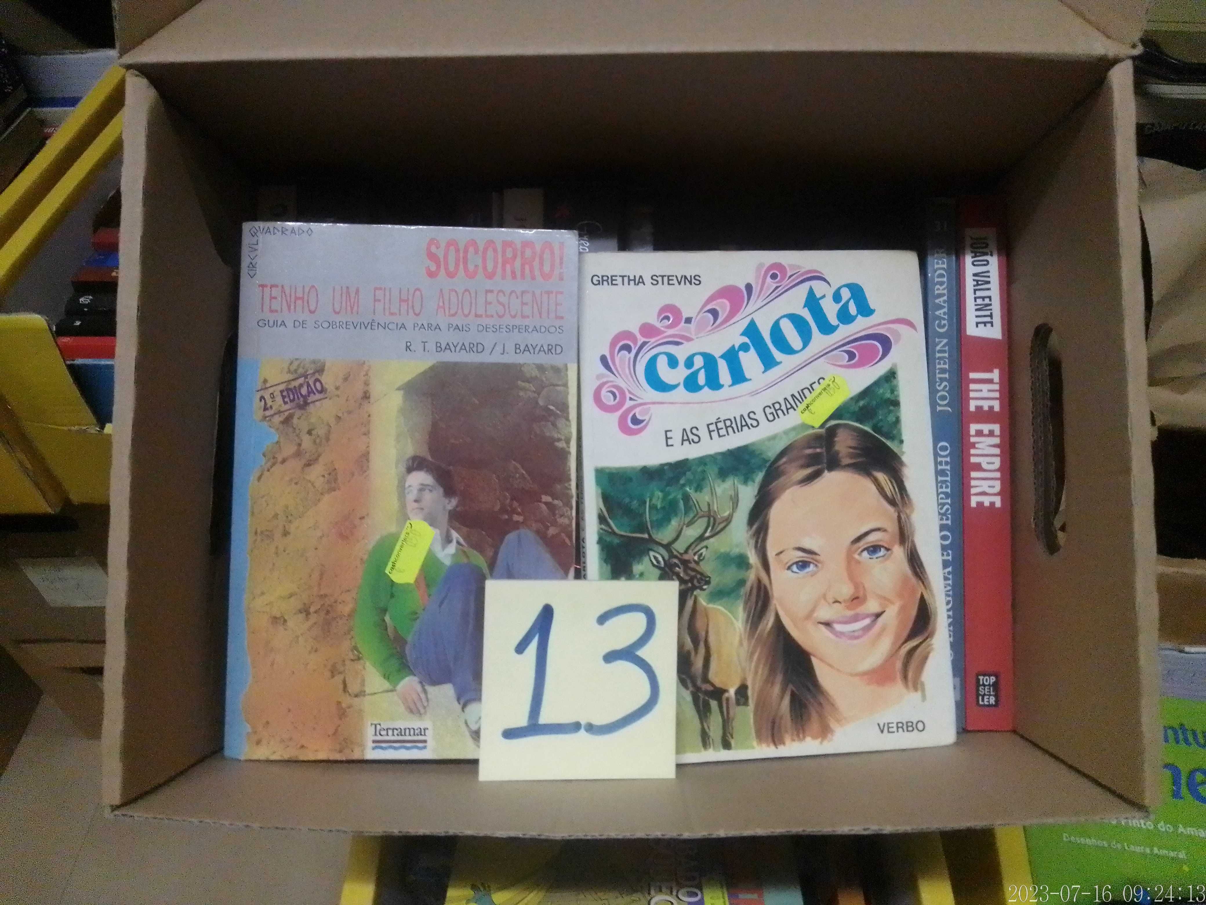 LOTE 13 - LIVROS Diversos - Vendidos INDIVIDUALMENTE - Vários Preços