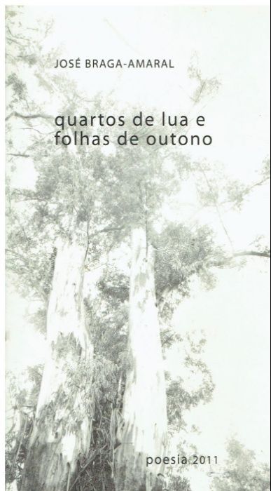 8639 Quartos de Lua e Folhas de outono de Jose Braga Amaral