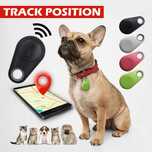 Localizador GPS: animais, carteira, carro, mala