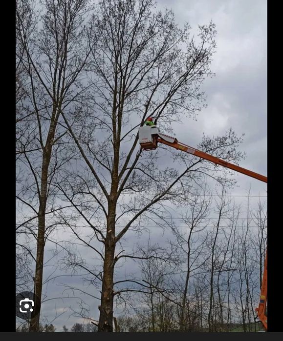 Czyszczenie działek,mulczer,koszenie Profesjonalnie!