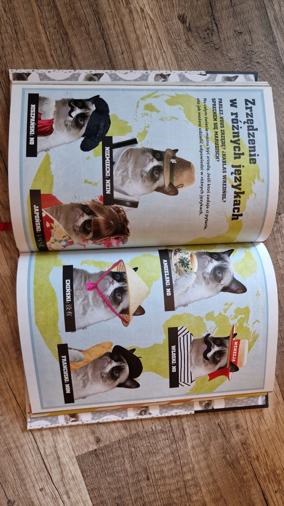 książka - Grumpy Cat