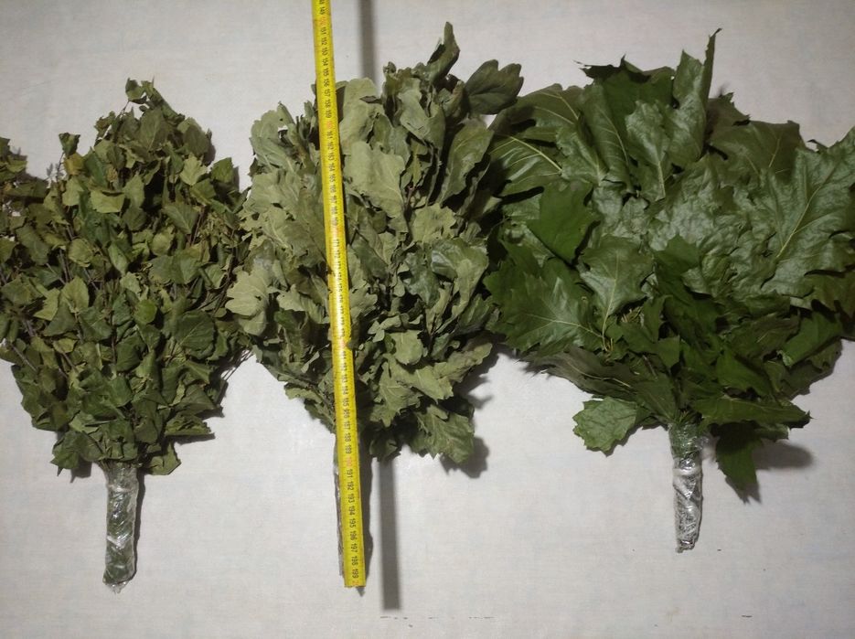 Продам віники (набір ) для лазні (бані , сауни).