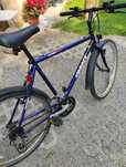 Rower giant gsr 100