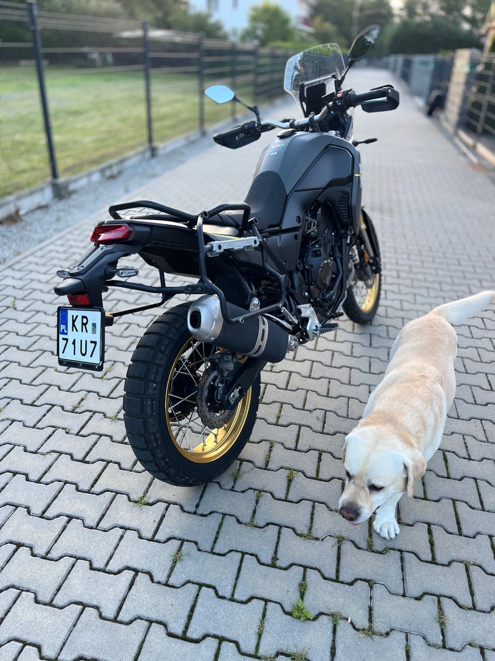 Yamaha Tenere Gwarancja, pierwszy właściciel, salon polska