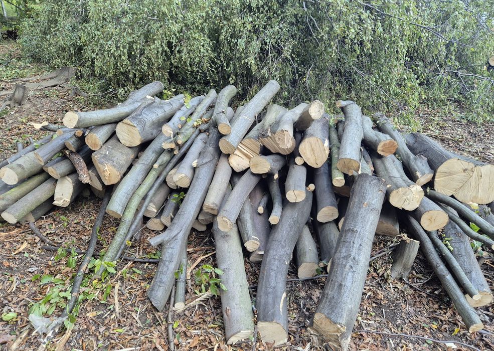 Drewno opałowe mieszane