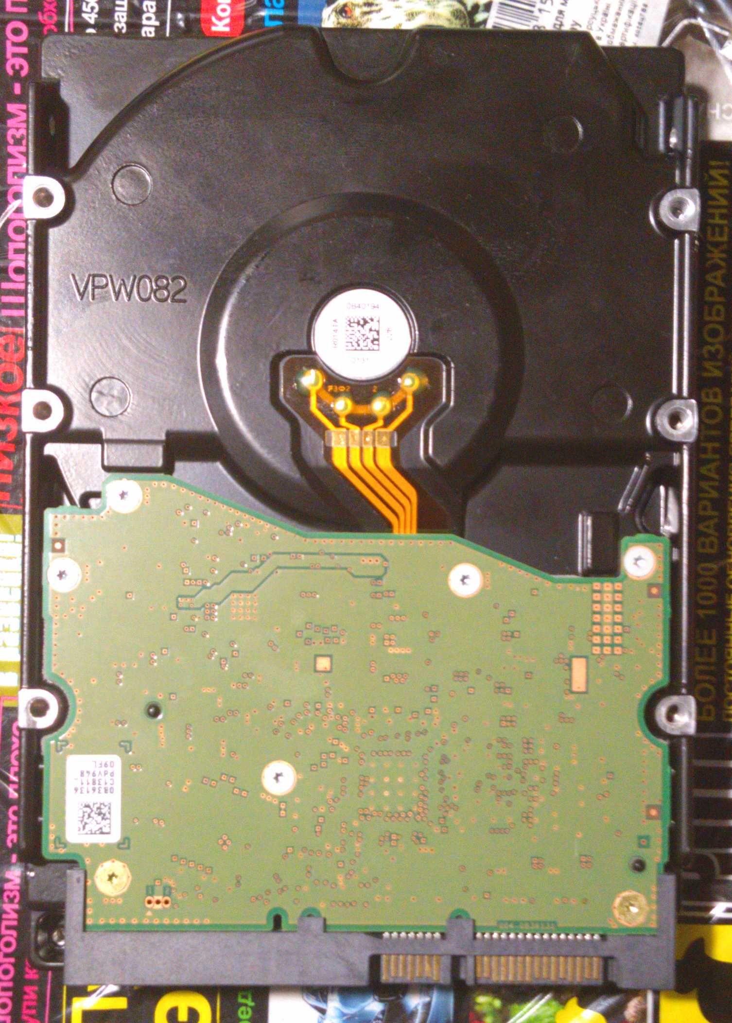 Жёсткий диск WD 8TB WD8004FRYZ Gold HDD + тесты
