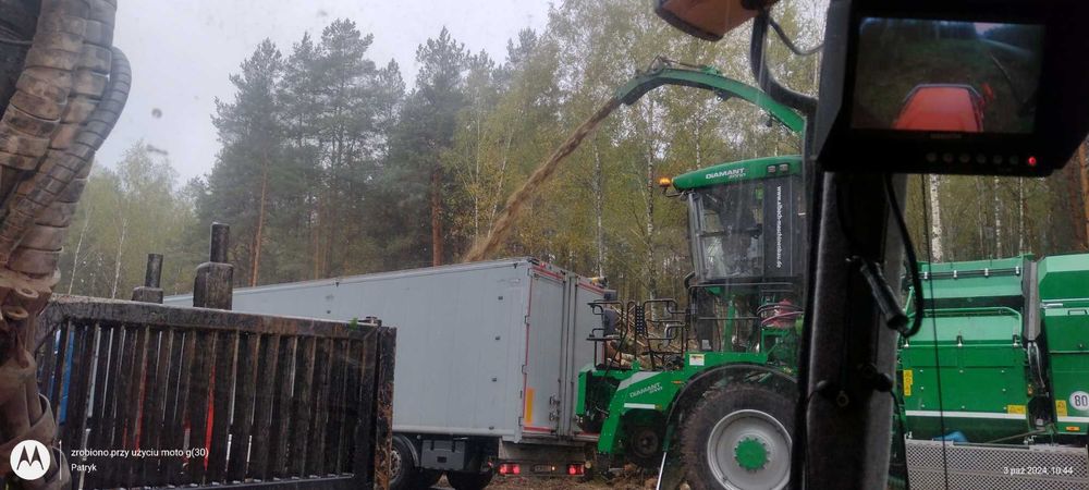 Skup lasów wycinka drzew usługi leśne sprzątanie powierzchni